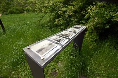 Udany remont "dzikiego" parku, zachowano naturalny charakter - zdjęcie 34