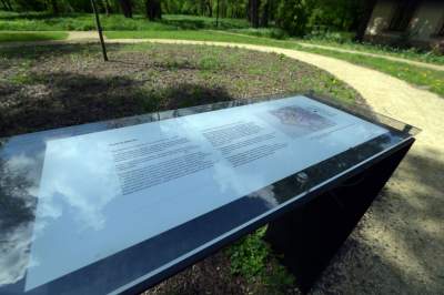 Udany remont "dzikiego" parku, zachowano naturalny charakter - zdjęcie 7