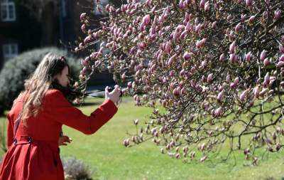 Wiosna w Krakowie poczyna sobie coraz śmielej - zdjęcie 12