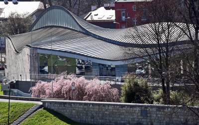 Wiosna w Krakowie poczyna sobie coraz śmielej - zdjęcie 14