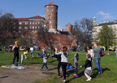 Zakwitły najsłynniejsze krakowskie magnolie. Jest cudownie! - zdjęcie 21
