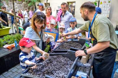 Taki urząd lubimy najbardziej, „Ale kosmos!” był w magistracie - zdjęcie 21