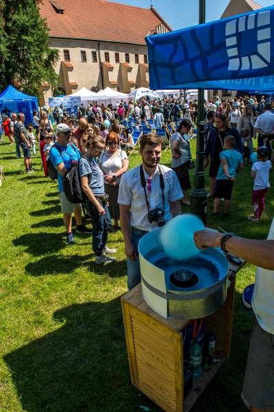 Taki urząd lubimy najbardziej, „Ale kosmos!” był w magistracie - zdjęcie 4