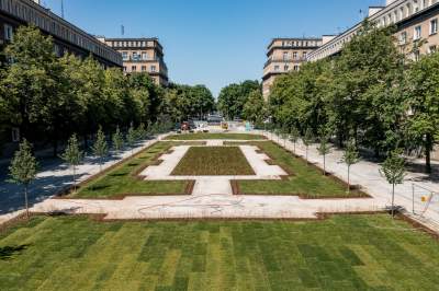 Zielona rewolucja na Alei Róż, dzięki Budżetowi Obywatelskiemu - zdjęcie 5