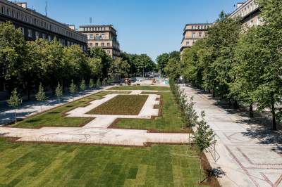 Zielona rewolucja na Alei Róż, dzięki Budżetowi Obywatelskiemu - zdjęcie 6
