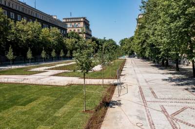 Zielona rewolucja na Alei Róż, dzięki Budżetowi Obywatelskiemu - zdjęcie 8