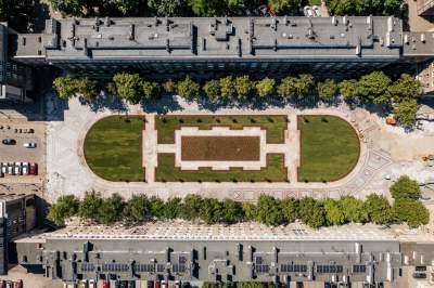 Zielona rewolucja na Alei Róż, dzięki Budżetowi Obywatelskiemu - zdjęcie 4