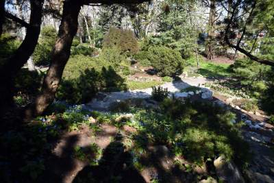 Wiosną wygląda i pachnie najpiękniej! fot. Marek Lasyk - zdjęcie 13