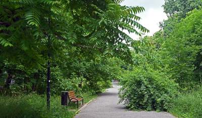 Zachwycająca dzika przyroda w ścisłym centrum Krakowa - zdjęcie 18