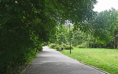 Zachwycająca dzika przyroda w ścisłym centrum Krakowa - zdjęcie 23