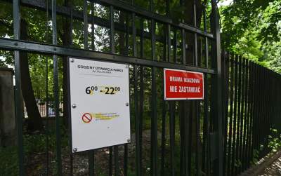 Zachwycająca dzika przyroda w ścisłym centrum Krakowa - zdjęcie 36