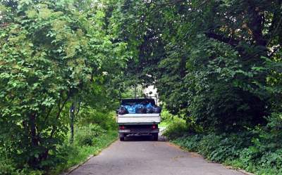 Zachwycająca dzika przyroda w ścisłym centrum Krakowa - zdjęcie 27