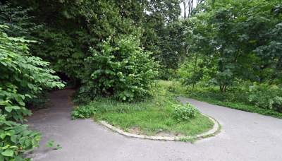 Zachwycająca dzika przyroda w ścisłym centrum Krakowa - zdjęcie 24