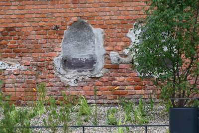 Krakowianie przejmują park Szymborskiej, doczekaliśmy się! - zdjęcie 24