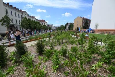 Krakowianie przejmują park Szymborskiej, doczekaliśmy się! - zdjęcie 18