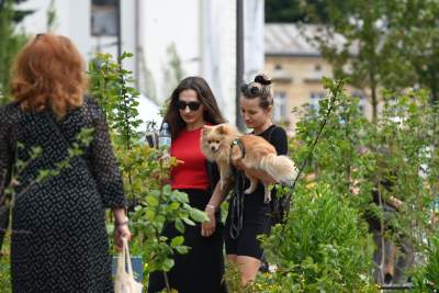 Krakowianie przejmują park Szymborskiej, doczekaliśmy się! - zdjęcie 23