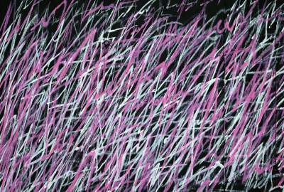 Poezja noblistki trafiła na płot, wyjątkowa wystawa na Dolnych Młynów - zdjęcie 21