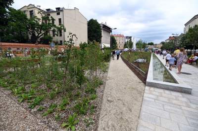 Krakowianie pokochali nowy park im. Wisławy Szymborskiej, zachwycające miejsce - zdjęcie 6