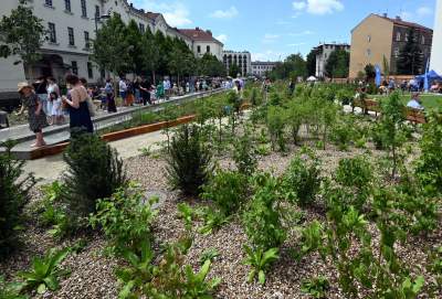 Krakowianie pokochali nowy park im. Wisławy Szymborskiej, zachwycające miejsce - zdjęcie 13