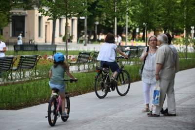 Gdziekolwiek tutaj spojrzę, na każdym kroku widzę róże! - zdjęcie 22