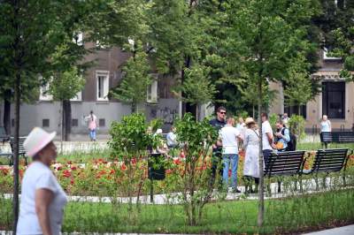 Gdziekolwiek tutaj spojrzę, na każdym kroku widzę róże! - zdjęcie 21