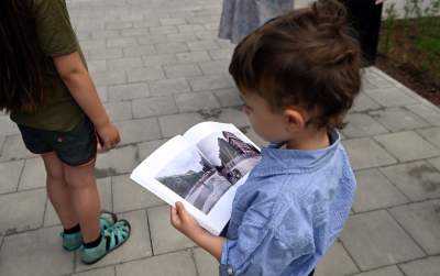 Gdziekolwiek tutaj spojrzę, na każdym kroku widzę róże! - zdjęcie 15