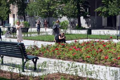 Gdziekolwiek tutaj spojrzę, na każdym kroku widzę róże! - zdjęcie 6