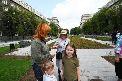 Gdziekolwiek tutaj spojrzę, na każdym kroku widzę róże! - zdjęcie 14