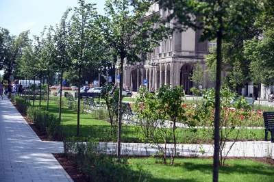 Gdziekolwiek tutaj spojrzę, na każdym kroku widzę róże! - zdjęcie 3