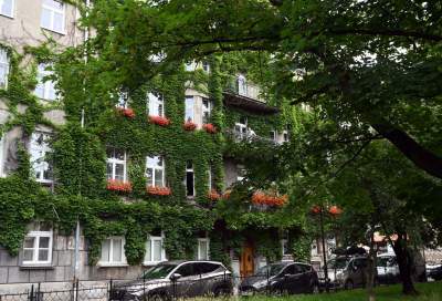 Tu w Krakowie zieleń staje się cześcią architektury, wygląda pięknie! - zdjęcie 19