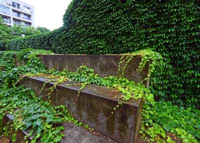 Tu w Krakowie zieleń staje się cześcią architektury, wygląda pięknie! - zdjęcie 15