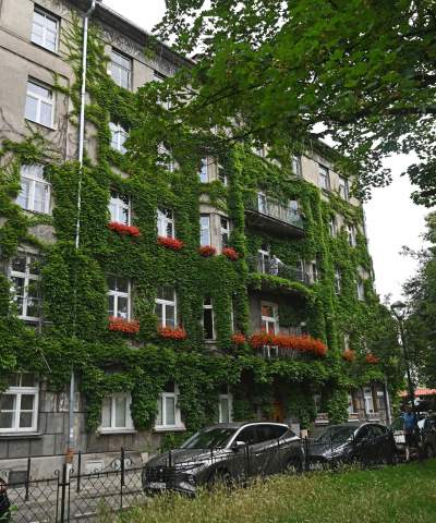 Tu w Krakowie zieleń staje się cześcią architektury, wygląda pięknie! - zdjęcie 24