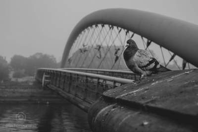Podgórze ulubione, te miejsca przyciągają miłośników fotografowania - zdjęcie 6