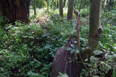 Tu ma powstać park Grzegórzecki, na razie wejście na własną odpowiedzialność - zdjęcie 15