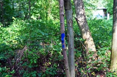 Tu ma powstać park Grzegórzecki, na razie wejście na własną odpowiedzialność - zdjęcie 14