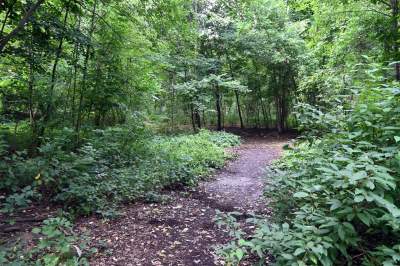 Tu ma powstać park Grzegórzecki, na razie wejście na własną odpowiedzialność - zdjęcie 39