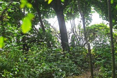 Tu ma powstać park Grzegórzecki, na razie wejście na własną odpowiedzialność - zdjęcie 41