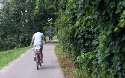 Tu ma powstać park Grzegórzecki, na razie wejście na własną odpowiedzialność - zdjęcie 45