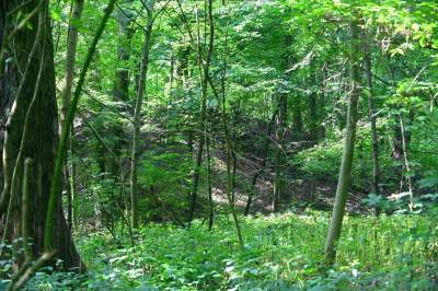 Tu ma powstać park Grzegórzecki, na razie wejście na własną odpowiedzialność - zdjęcie 22