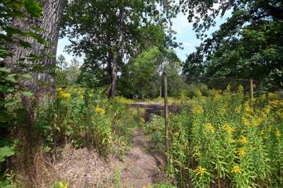 Tu ma powstać park Grzegórzecki, na razie wejście na własną odpowiedzialność - zdjęcie 27
