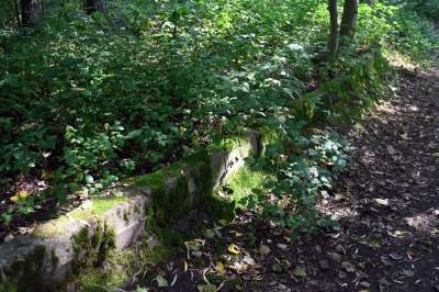 Tu ma powstać park Grzegórzecki, na razie wejście na własną odpowiedzialność - zdjęcie 12