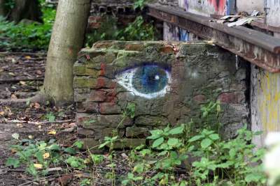 Tu ma powstać park Grzegórzecki, na razie wejście na własną odpowiedzialność - zdjęcie 42