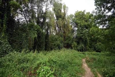 Tu ma powstać park Grzegórzecki, na razie wejście na własną odpowiedzialność - zdjęcie 46