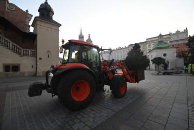Poranne "sadzenie" donic na Rynku Głównym, na drzewa nie ma na razie zgody - zdjęcie 21