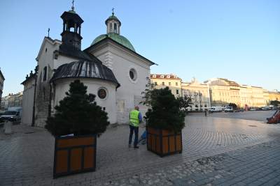 Poranne "sadzenie" donic na Rynku Głównym, na drzewa nie ma na razie zgody - zdjęcie 12