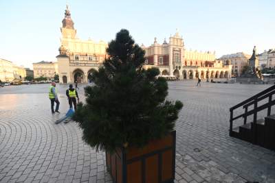 Poranne "sadzenie" donic na Rynku Głównym, na drzewa nie ma na razie zgody - zdjęcie 5
