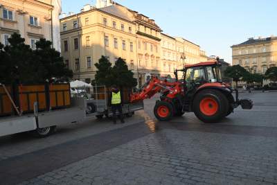 Poranne "sadzenie" donic na Rynku Głównym, na drzewa nie ma na razie zgody - zdjęcie 10