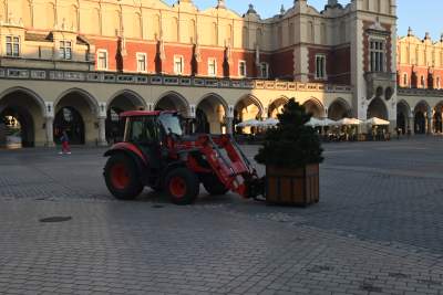 Poranne "sadzenie" donic na Rynku Głównym, na drzewa nie ma na razie zgody - zdjęcie 20