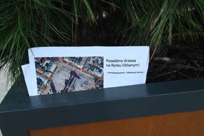 Poranne "sadzenie" donic na Rynku Głównym, na drzewa nie ma na razie zgody - zdjęcie 24