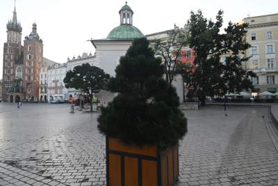 Poranne "sadzenie" donic na Rynku Głównym, na drzewa nie ma na razie zgody - zdjęcie 15